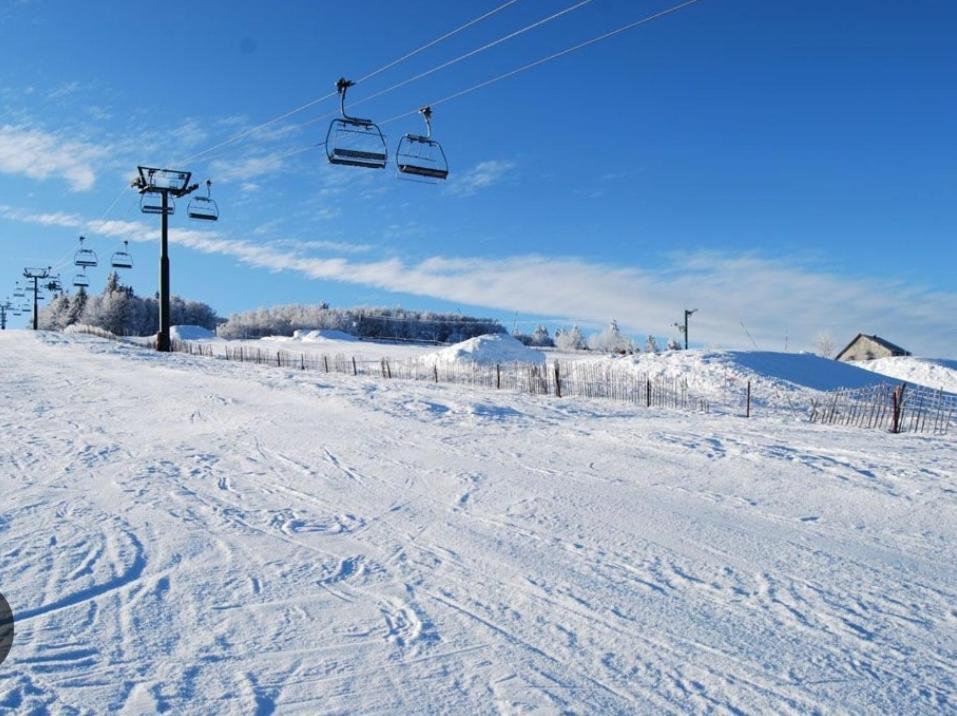 Gite Spa "La Foret Argentee" Proche Gerardmer Laveline-du-Houx Εξωτερικό φωτογραφία