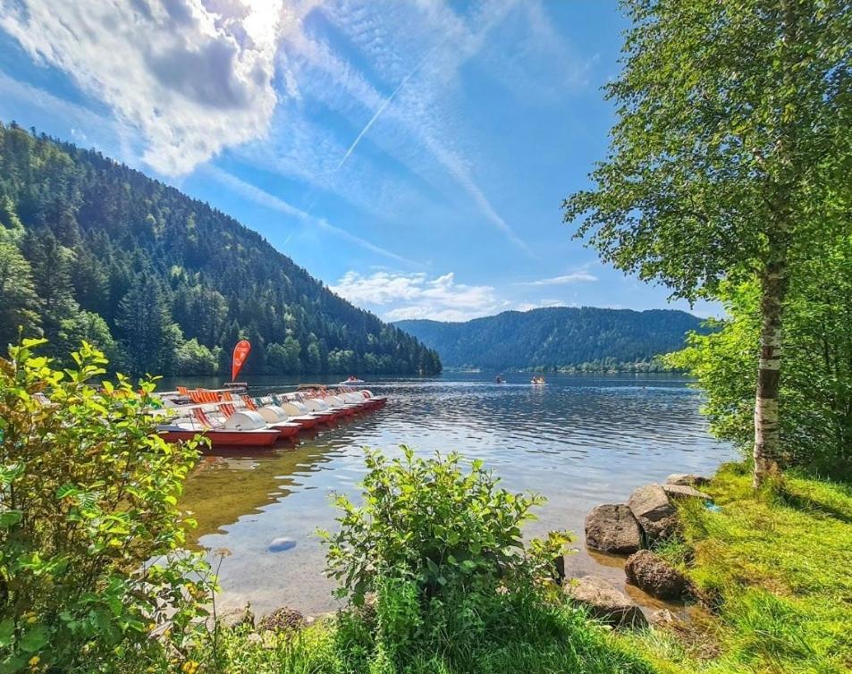 Gite Spa "La Foret Argentee" Proche Gerardmer Laveline-du-Houx Εξωτερικό φωτογραφία