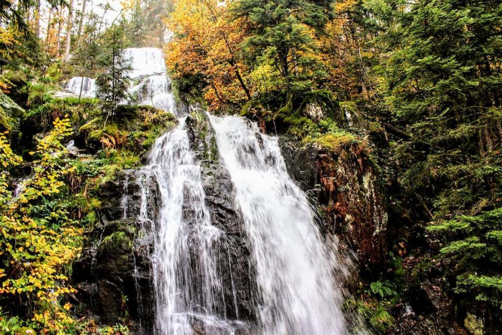 Gite Spa "La Foret Argentee" Proche Gerardmer Laveline-du-Houx Εξωτερικό φωτογραφία